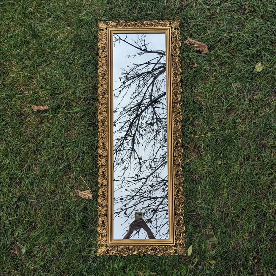 Vintage Syroco Filigree Gold Ornate Full Length Mirror!