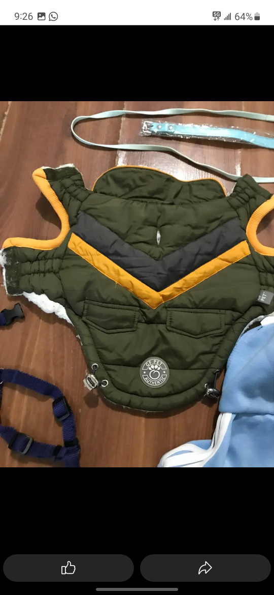 dog winter clothes