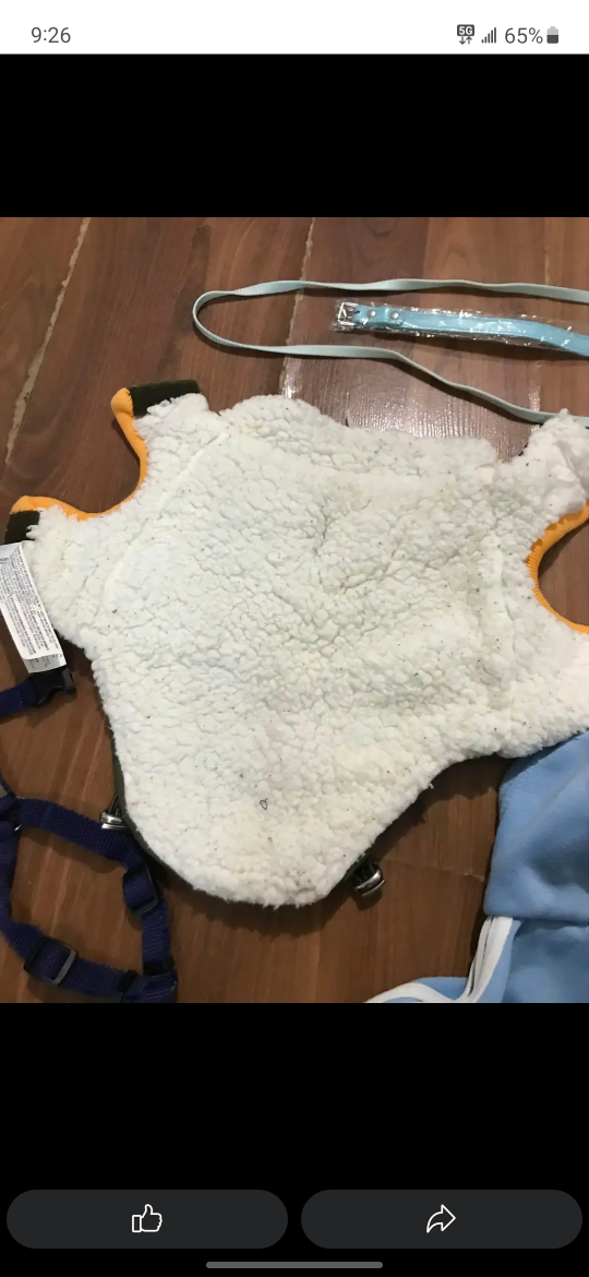 dog winter clothes - photo 2