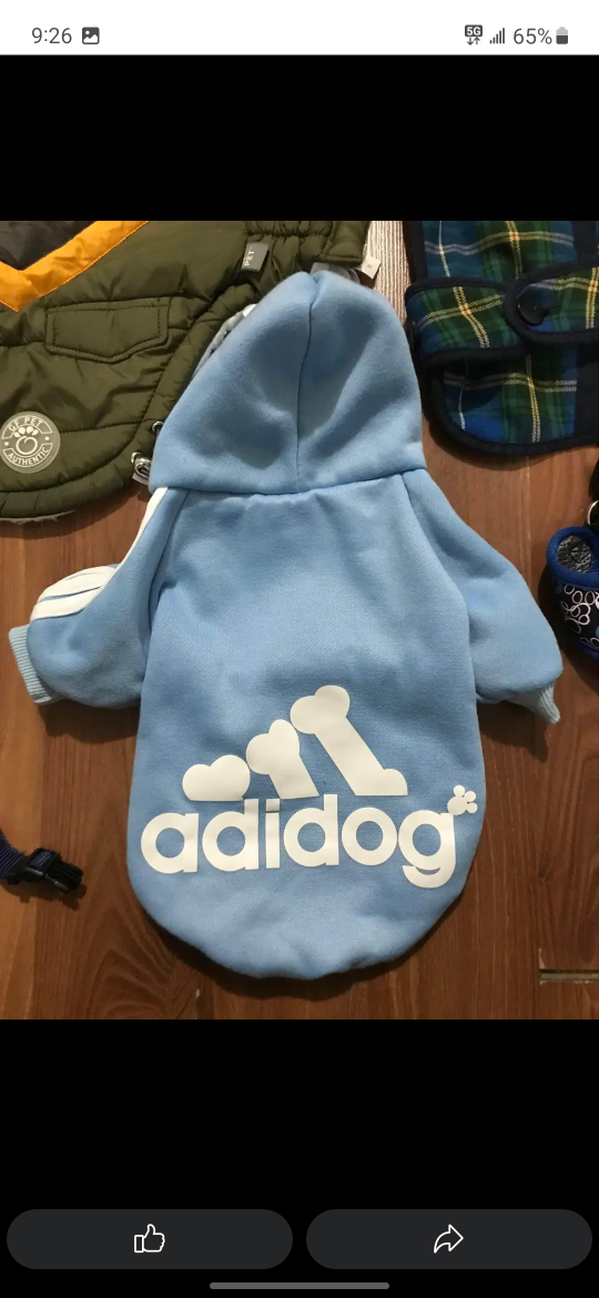 dog winter clothes - photo 3