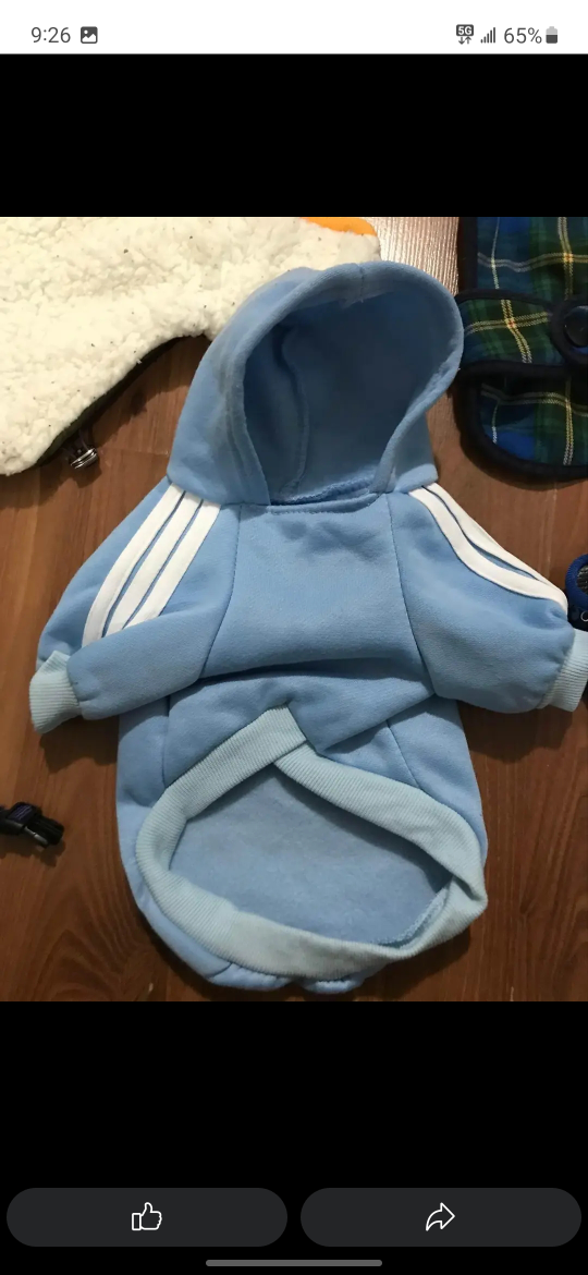 dog winter clothes - photo 4