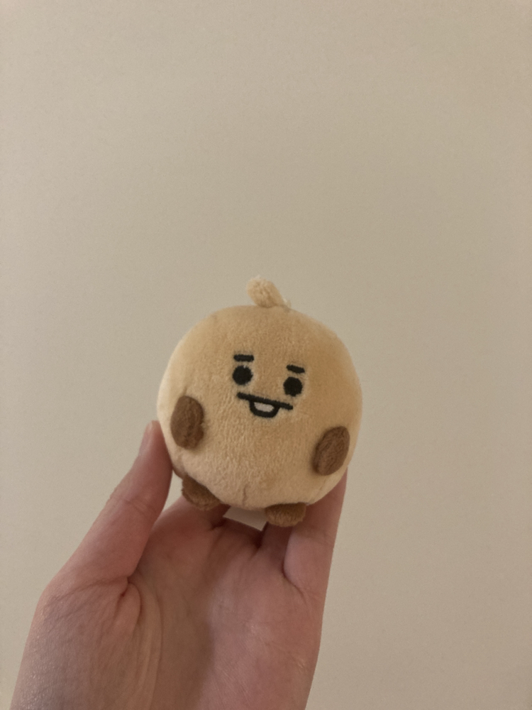 BT21 official shooky plush