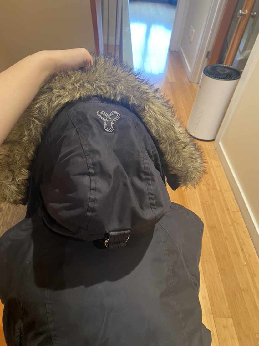 Aritzia winter jacket waterproof image indicator(7)