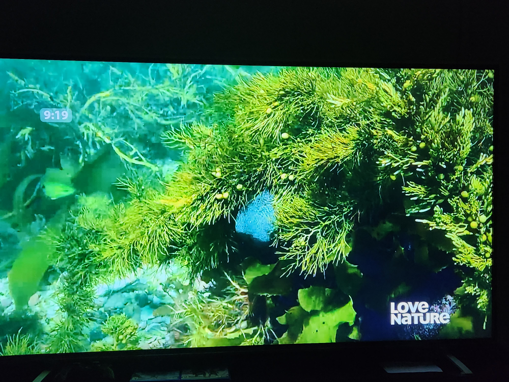 Hitatchi 65" 4K- UHD HDR TV 65r80 model
