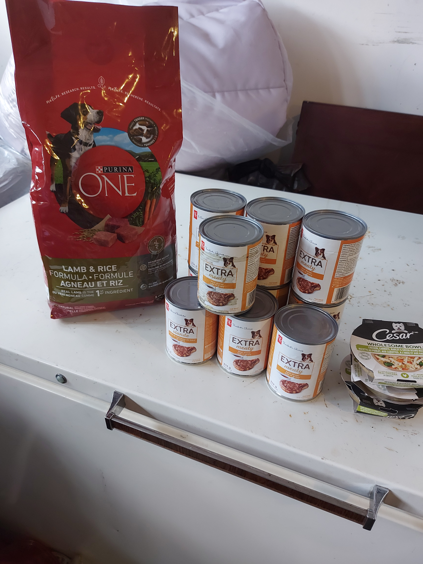 dog food thumbnail
