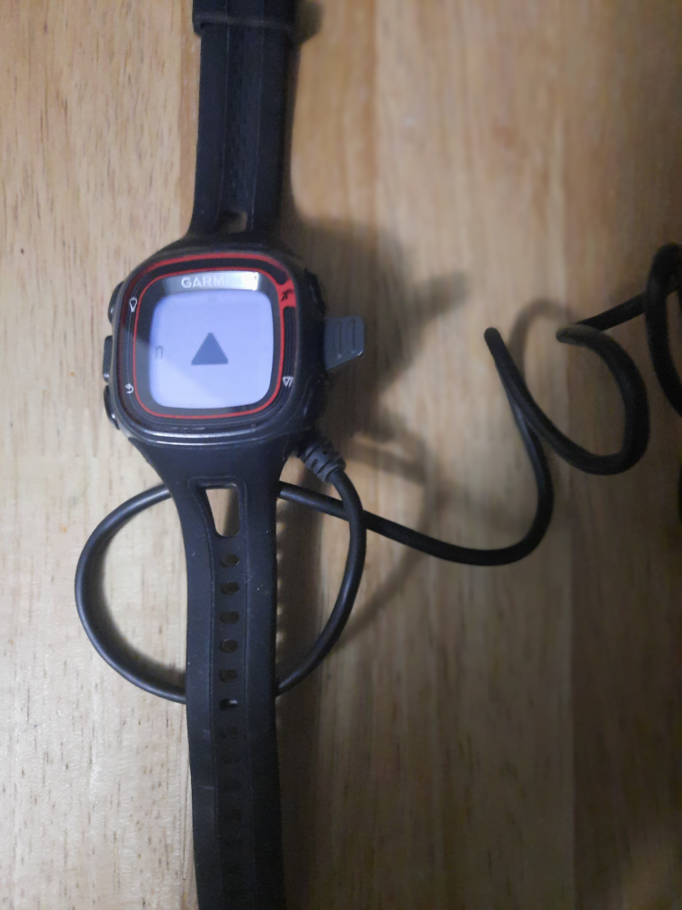 Garmin Forerunner 10 GPS Watch image indicator(2)