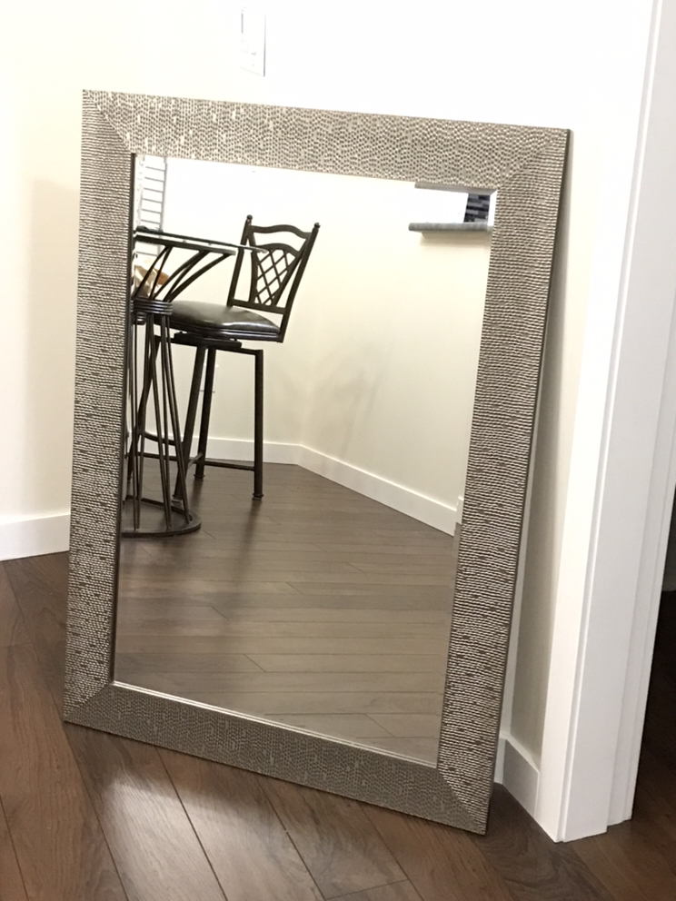Mirror Brushed Nickel Frame