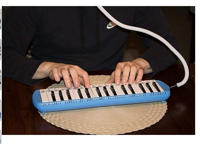 Melodica, 32 keys with case. Blue thumbnail