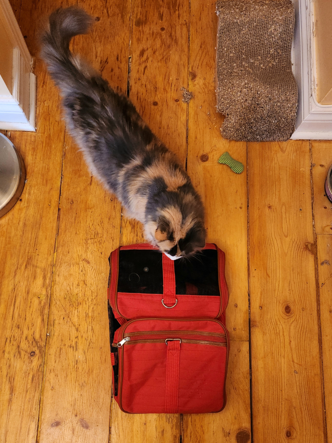 Fabric Carrier for Cat or Small Pet image indicator(7)