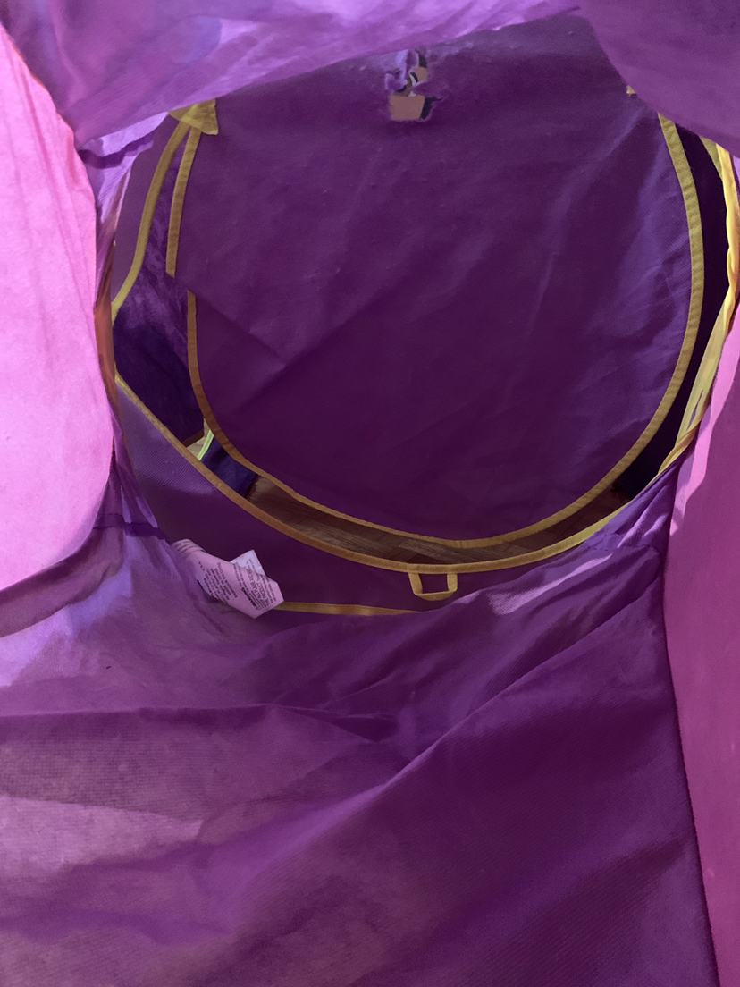 Dora fun house image indicator(2)