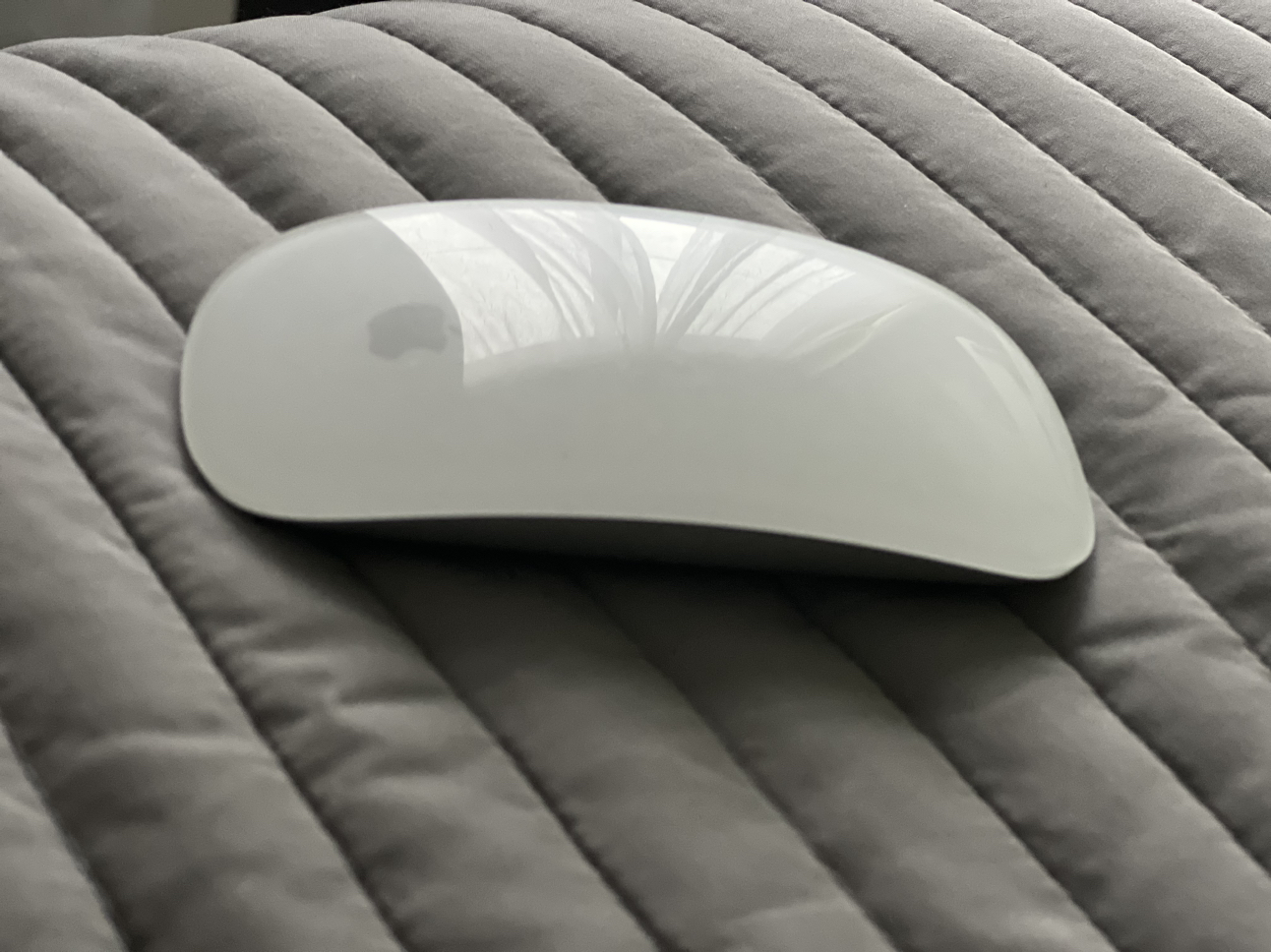 Apple mouse 2