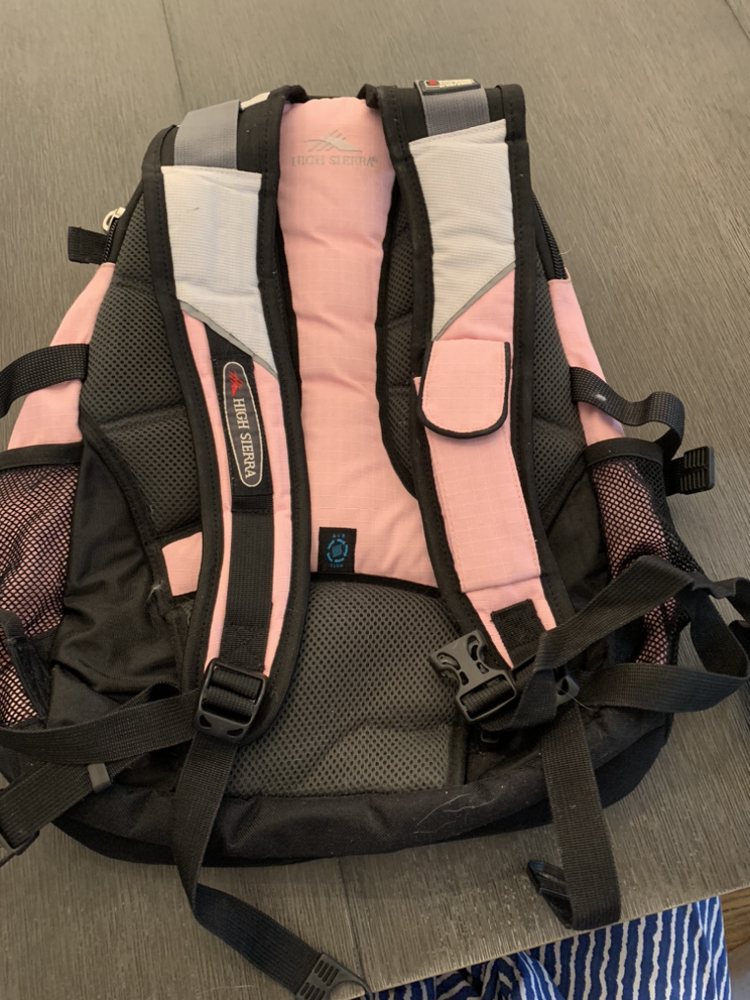 High Sierra pink backpack - photo 2