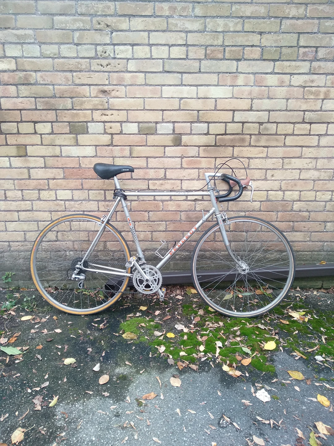 ❄️ Vintage peugeot road bike 60cm frame thumbnail