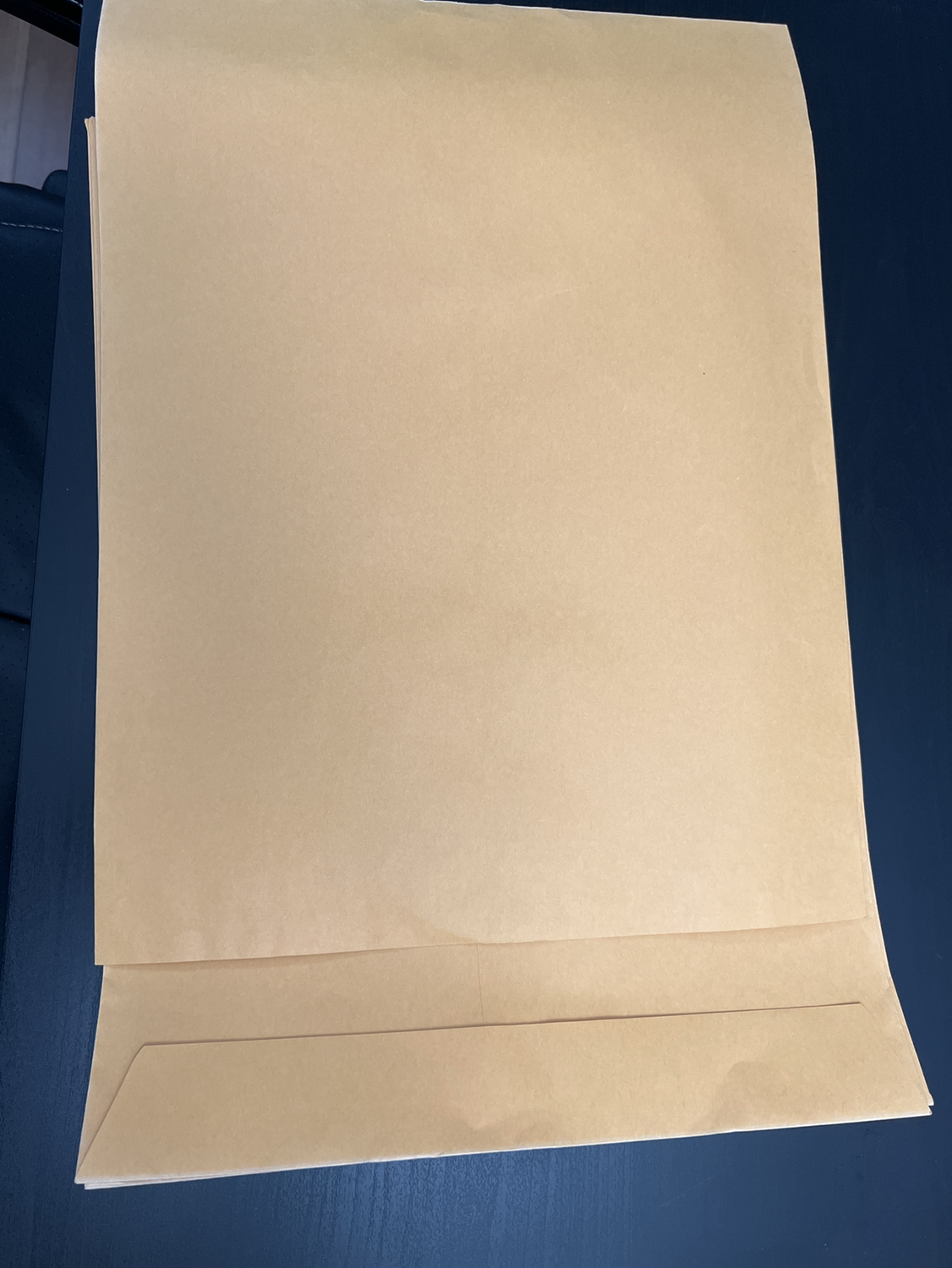 Brown Envelopes #freecycle