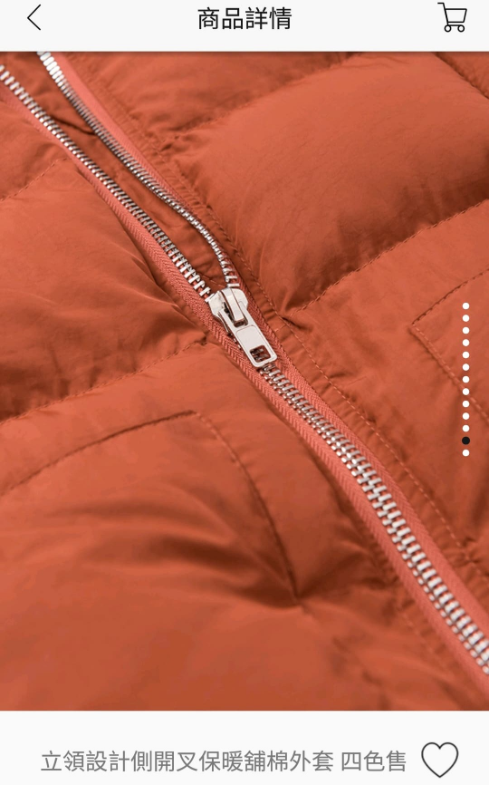 Caramel Jacket Freesize image indicator(5)