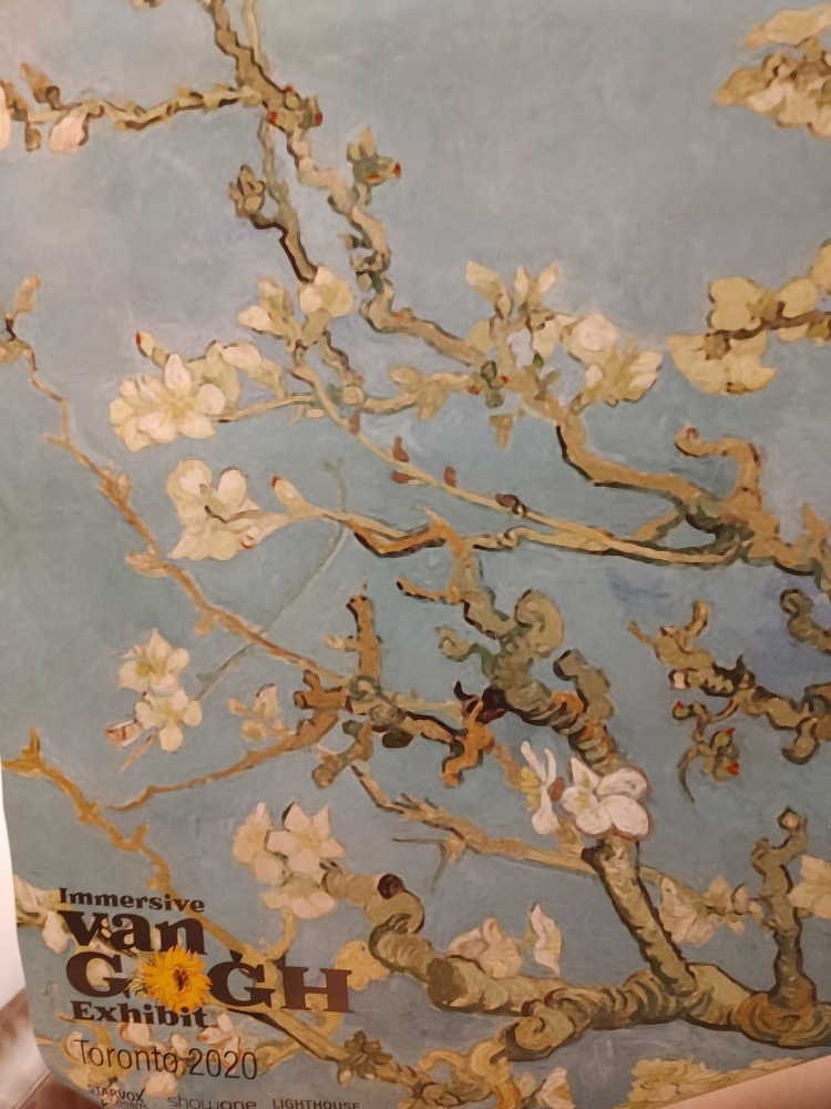 Van Gogh & Klimt Immersive Posters image indicator(4)