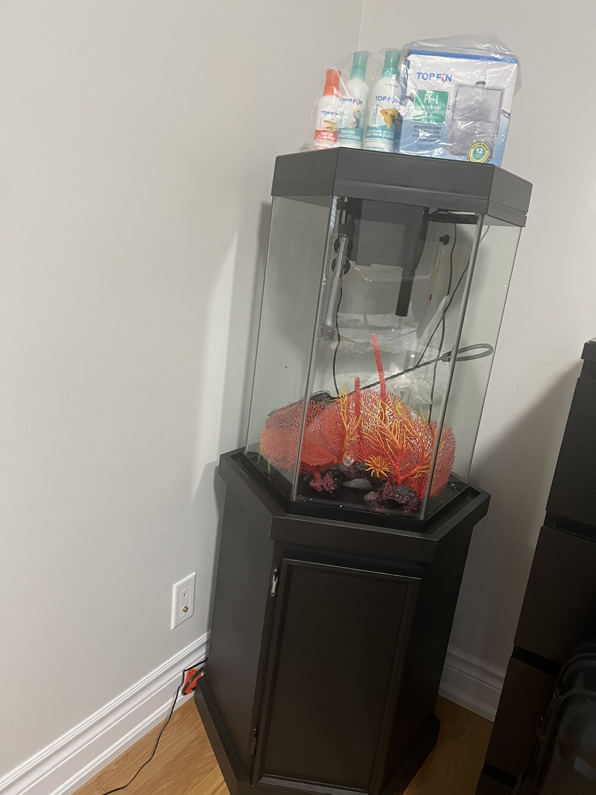 Aquarium and stand