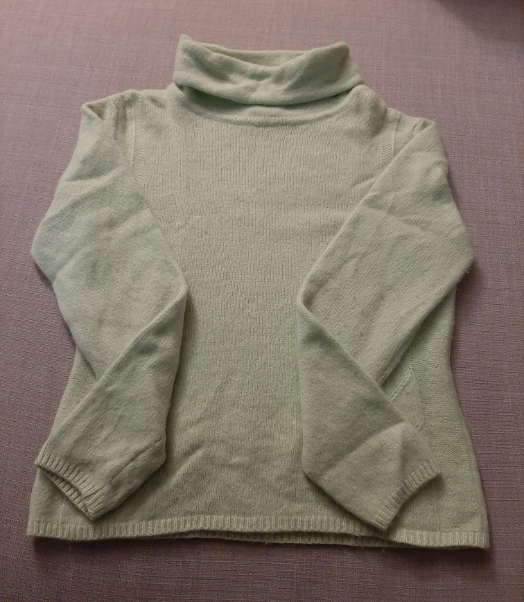turtle neck thumbnail