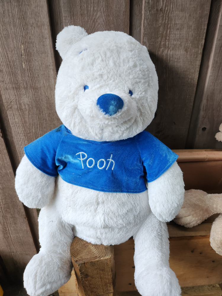 limited edition pooh bear (white) thumbnail