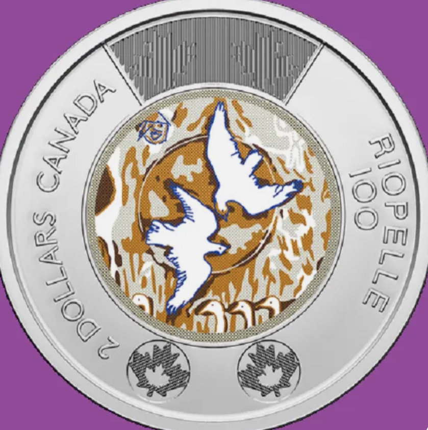 Collectable toonie image indicator(2)