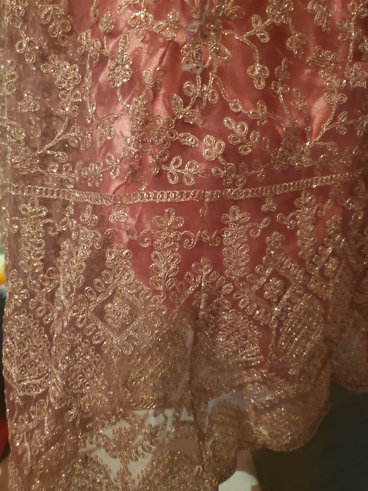 South Asian Party Wedding Dress Anarkali image indicator(5)