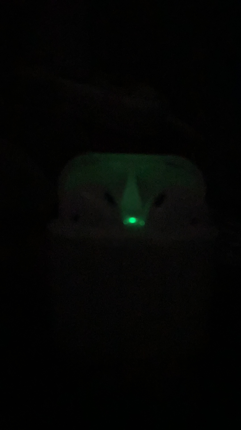 2nd Gen AirPods - photo 5