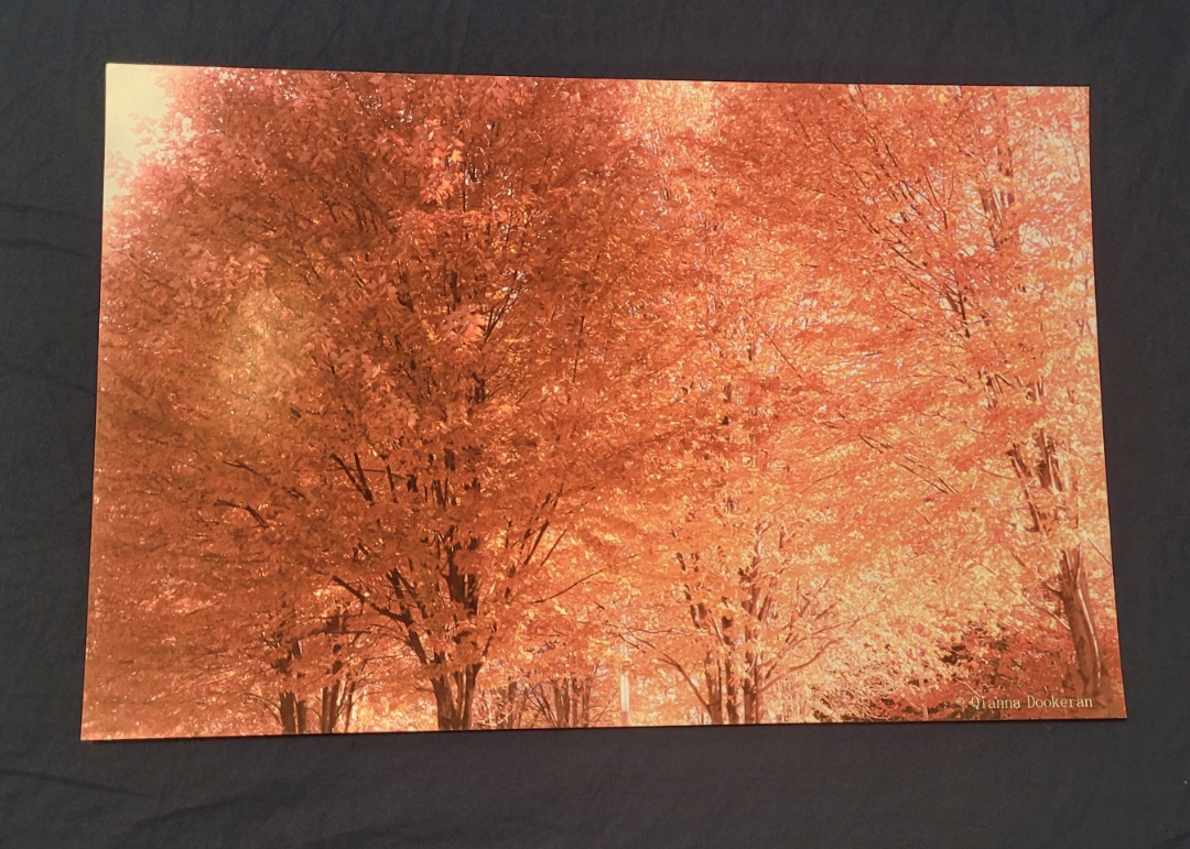 Fall Dream-Photo Print thumbnail