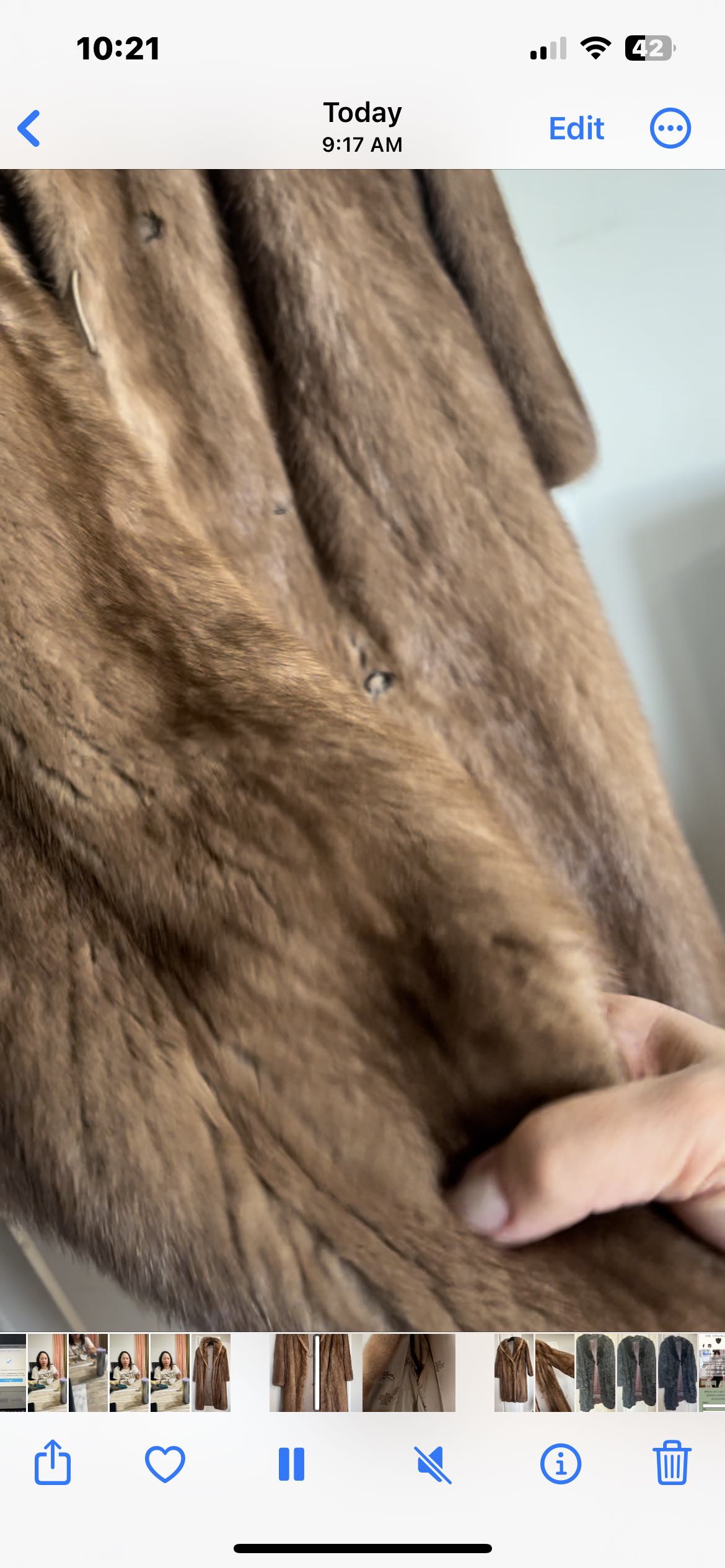 Coat image indicator(4)