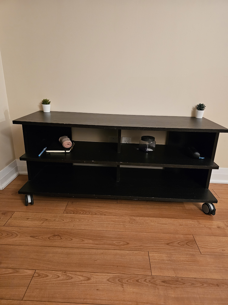 TV unit on wheels