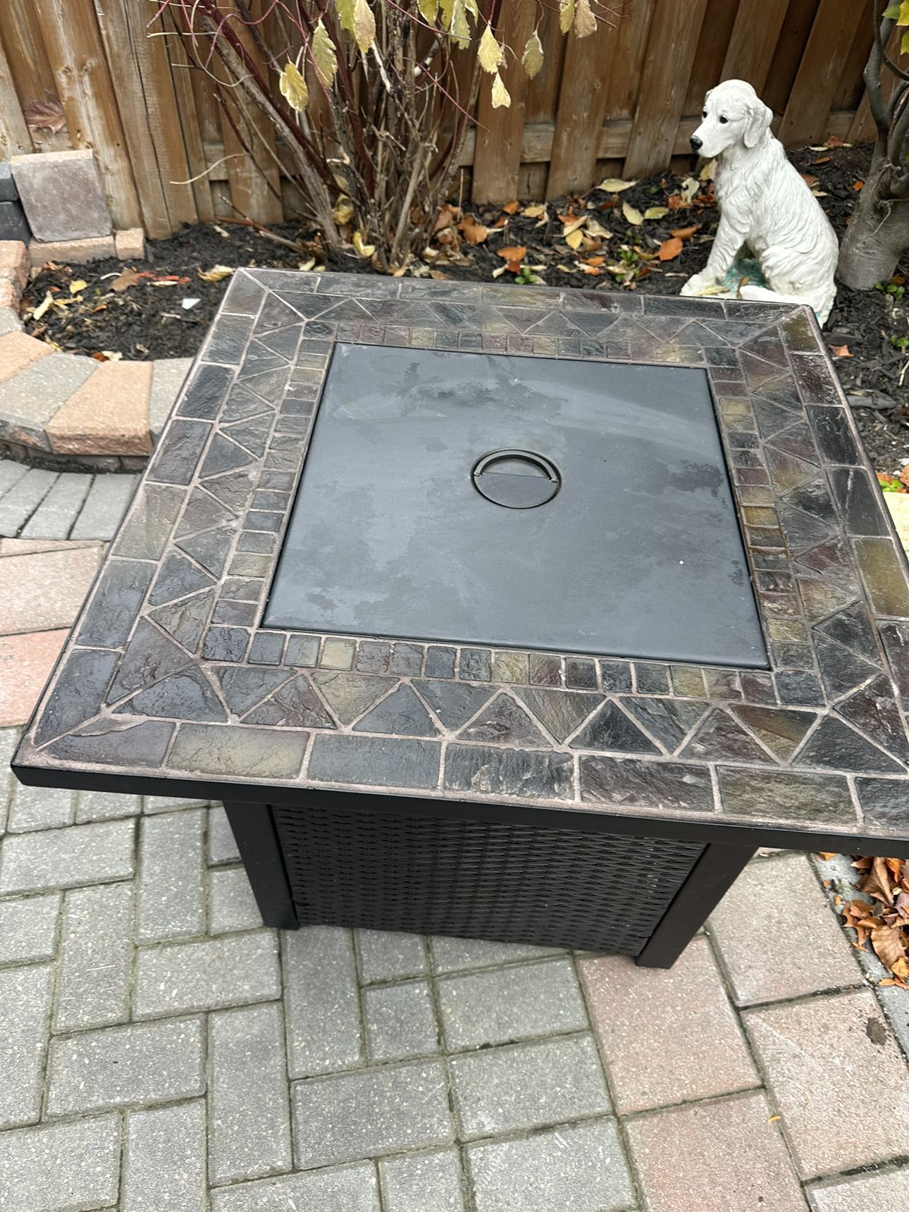Propane, gas fire table - photo 5