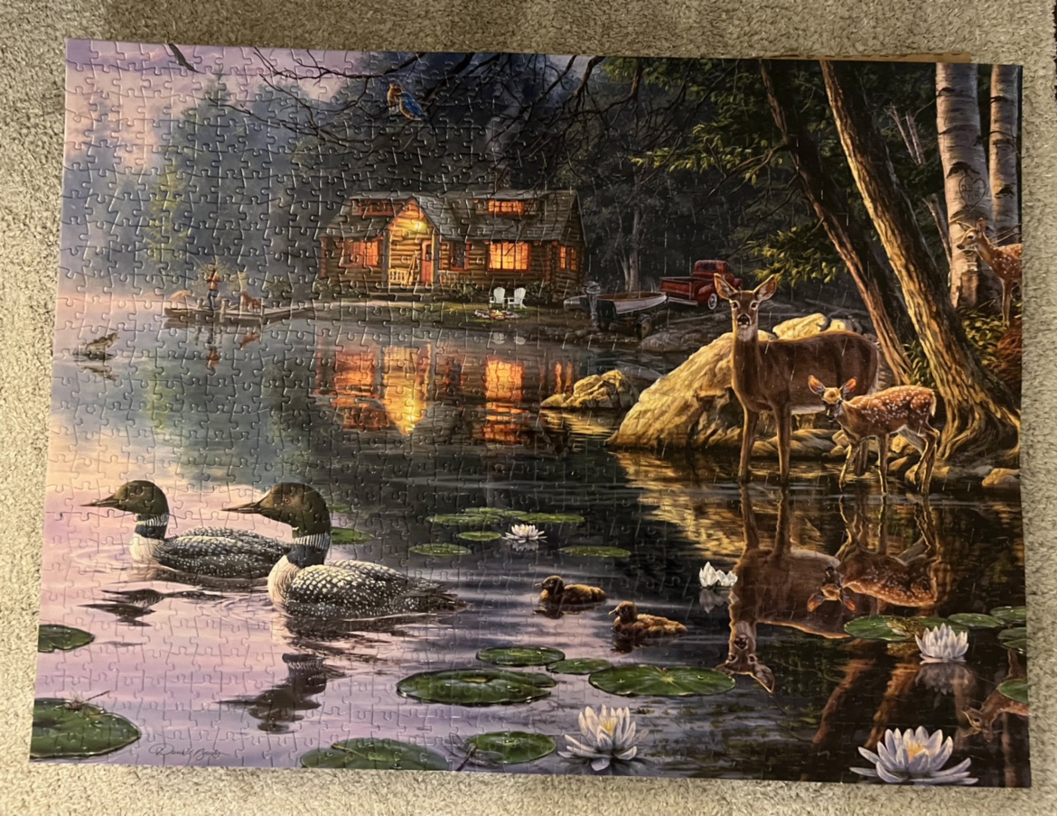 #freecycle completed puzzles - photo 4