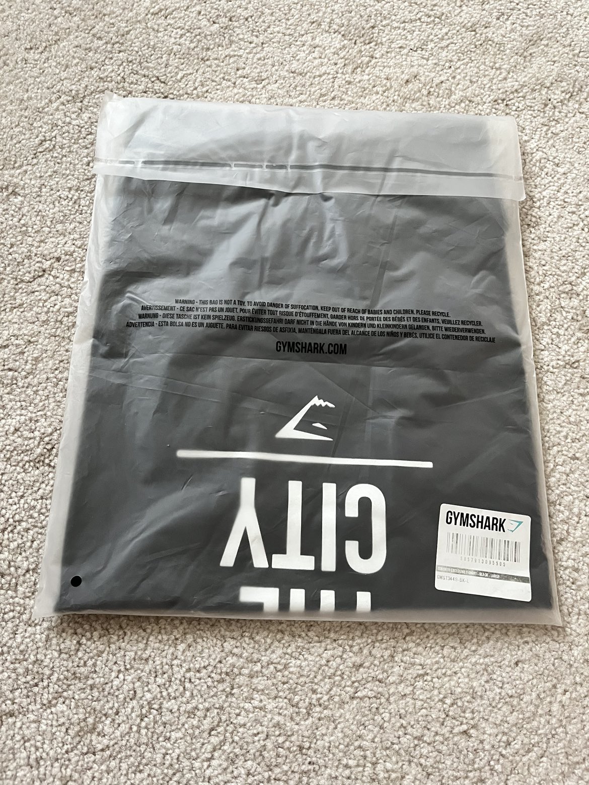 NEW Gymshark Toronto Exclusive Fitted T shirt Size Large image indicator(4)