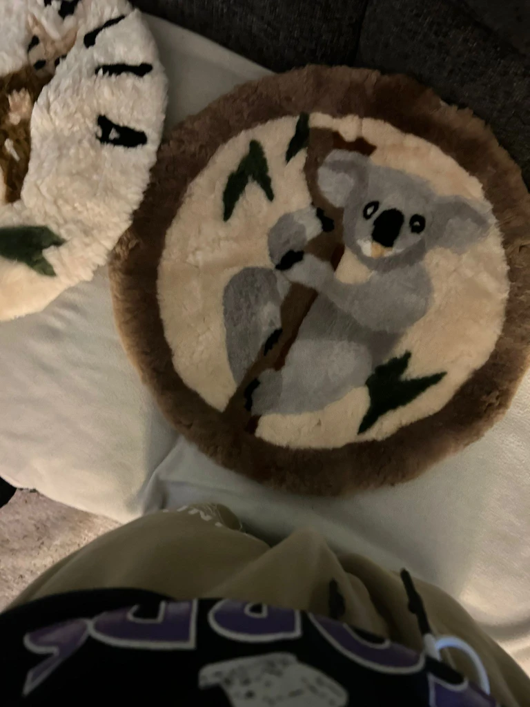 Australian Genuine Sheepskin Covers - Pair ❄ - photo 2