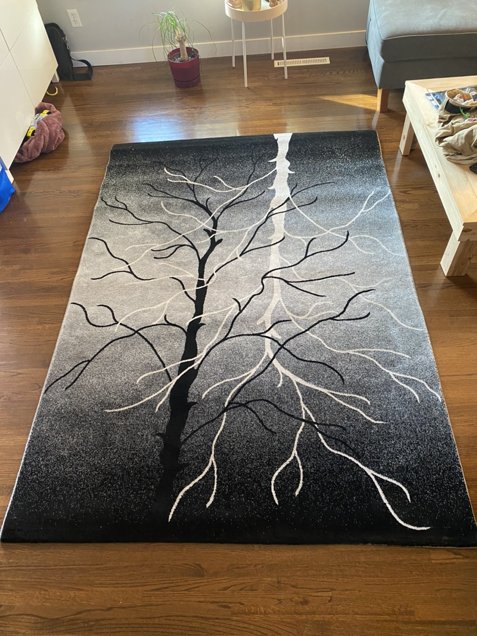 Area rug