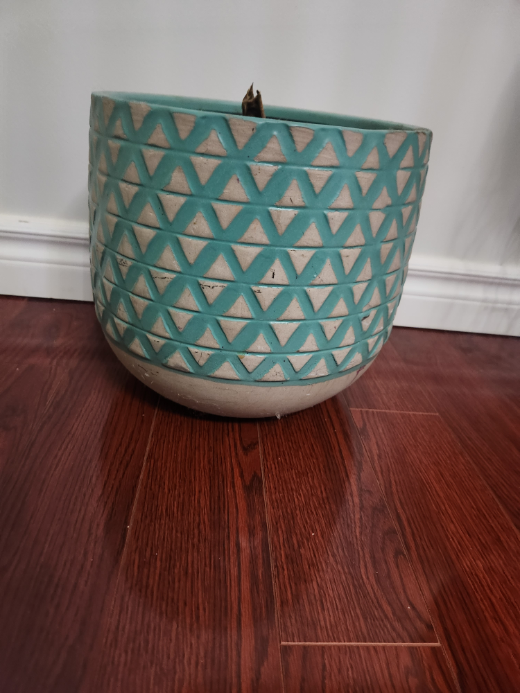 large ceramic planter