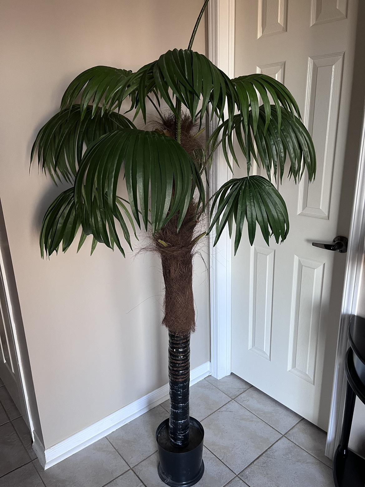 Palm tree thumbnail