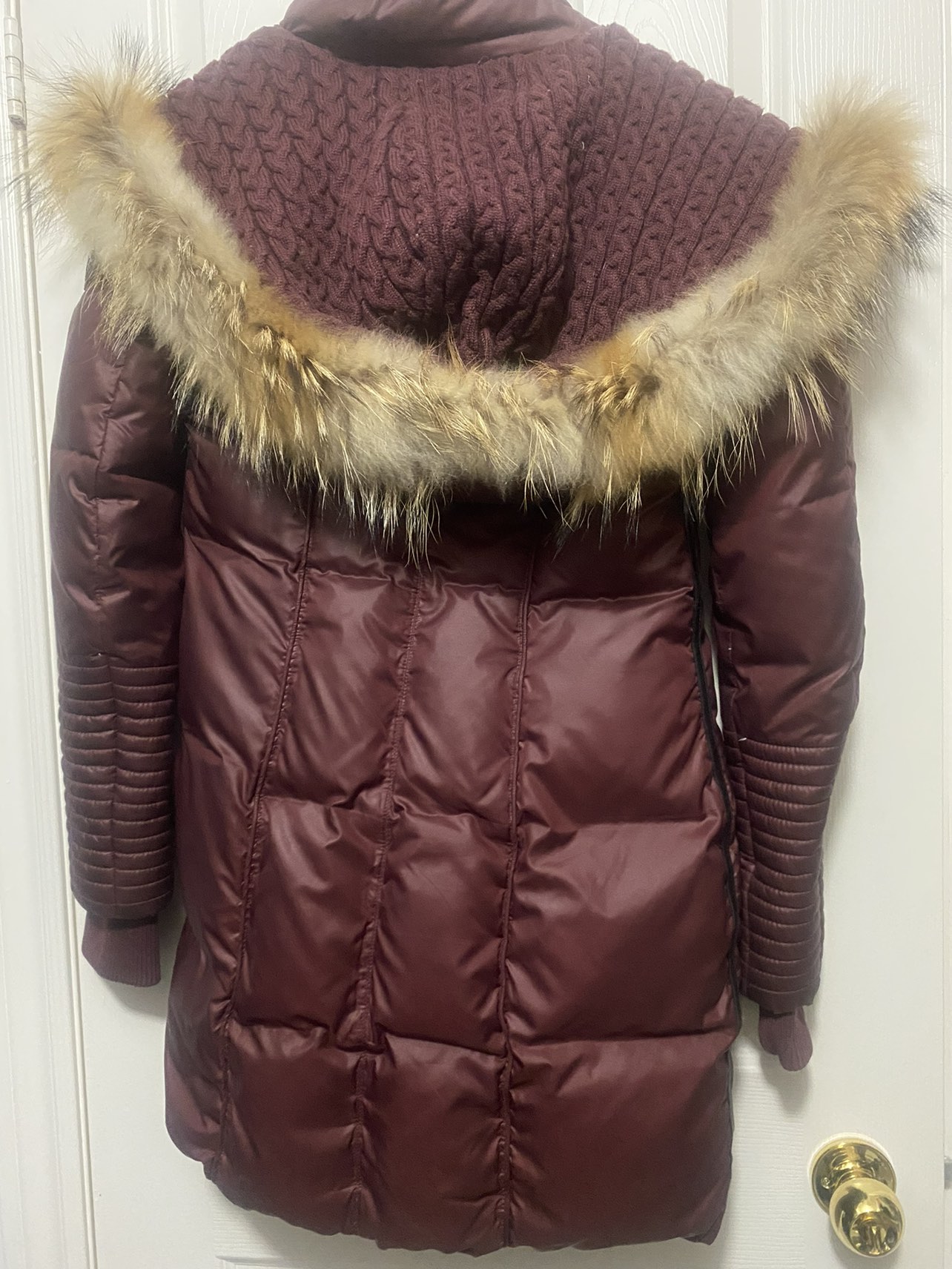 Winter jacket image indicator(2)