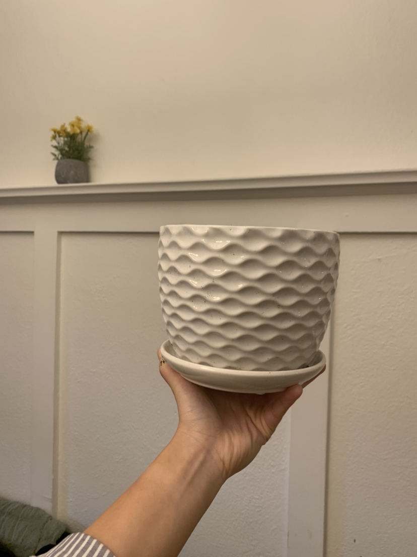 Flower pot #freecycle