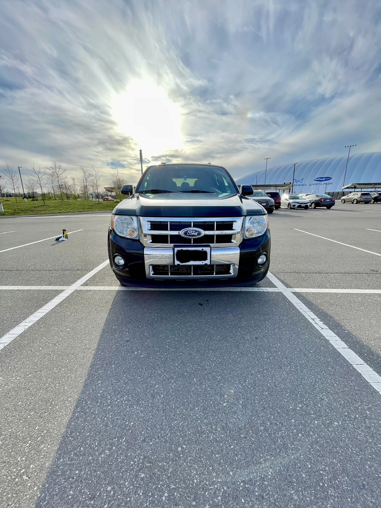 2010 Ford Escape Limited 4WD 4drs for sale - photo 2