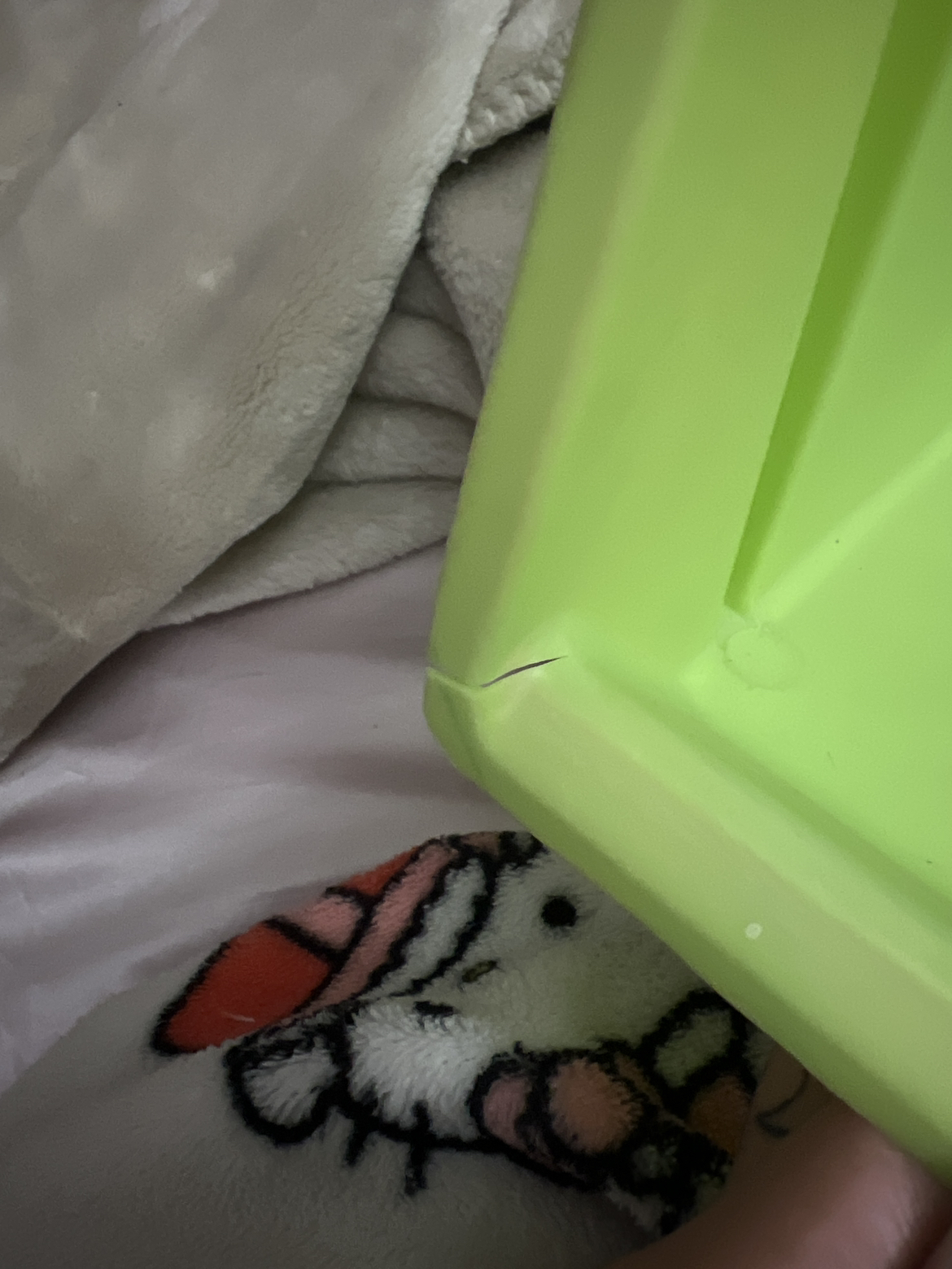 Bright green organizer #freecycle image indicator(5)