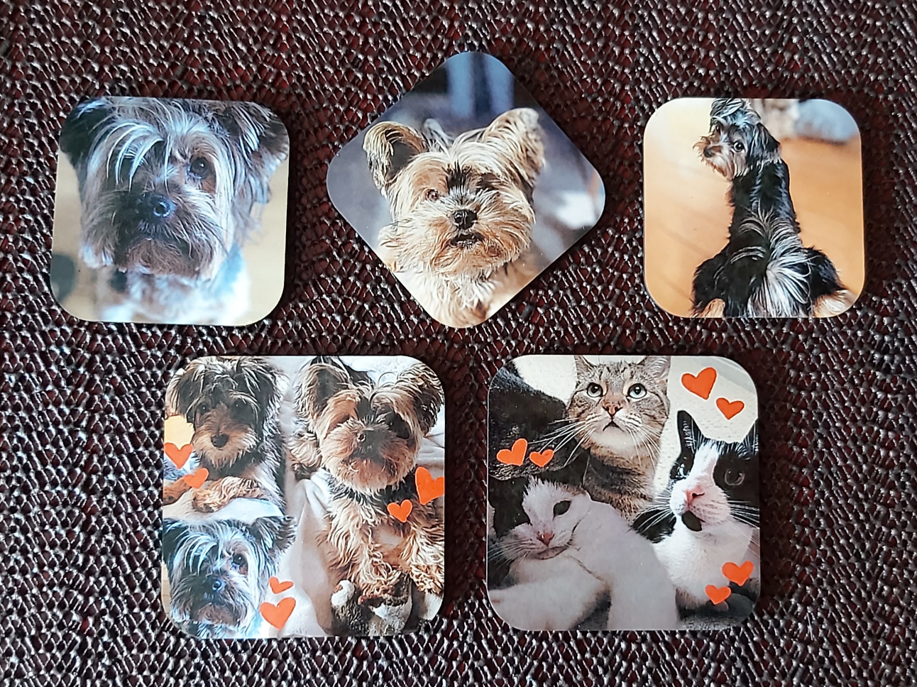 Custom Magnets (Two Sizes Available)