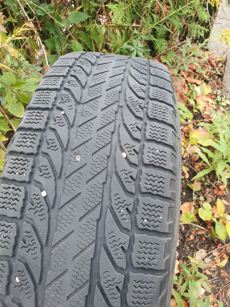 Snow Tires 215/17/R16 image indicator(9)