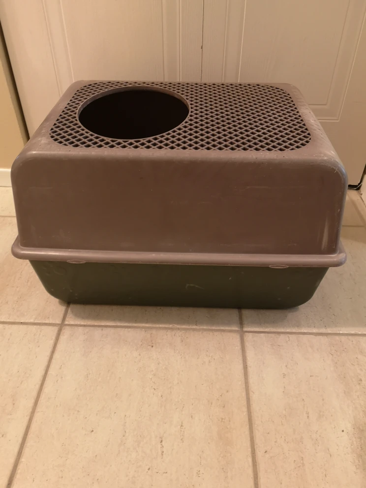 Cat litter box covered and large