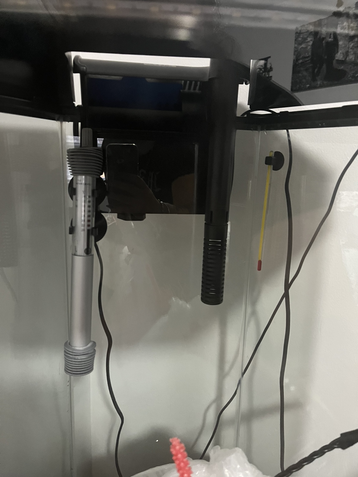 Aquarium and stand - photo 5