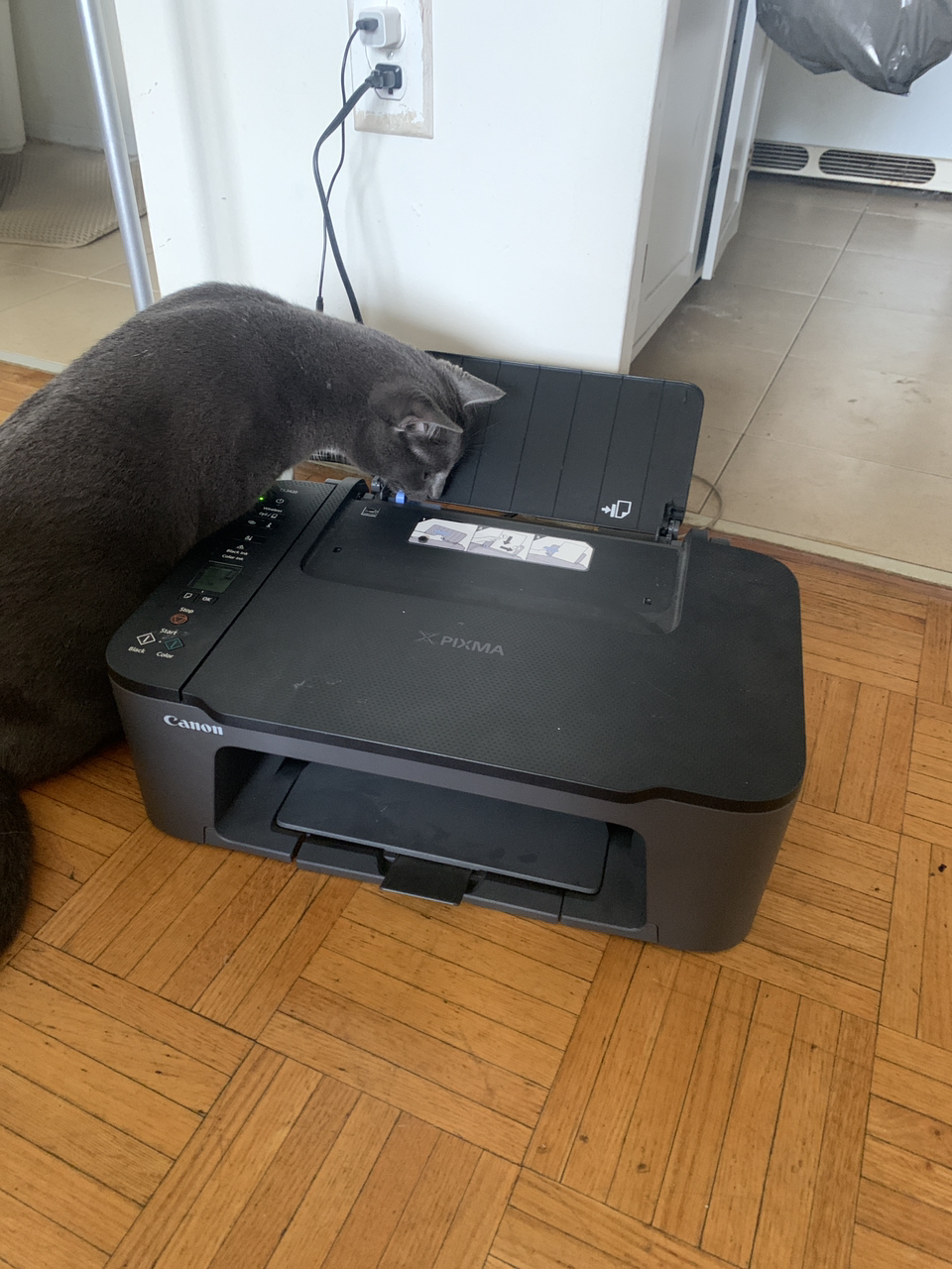 CANON-PIXMA scanner and printer