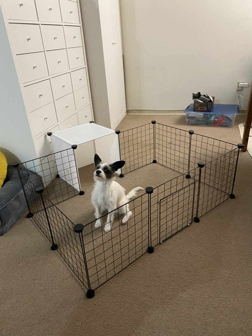 Play Pen for Small Animals (Like New, Price Negotiable)