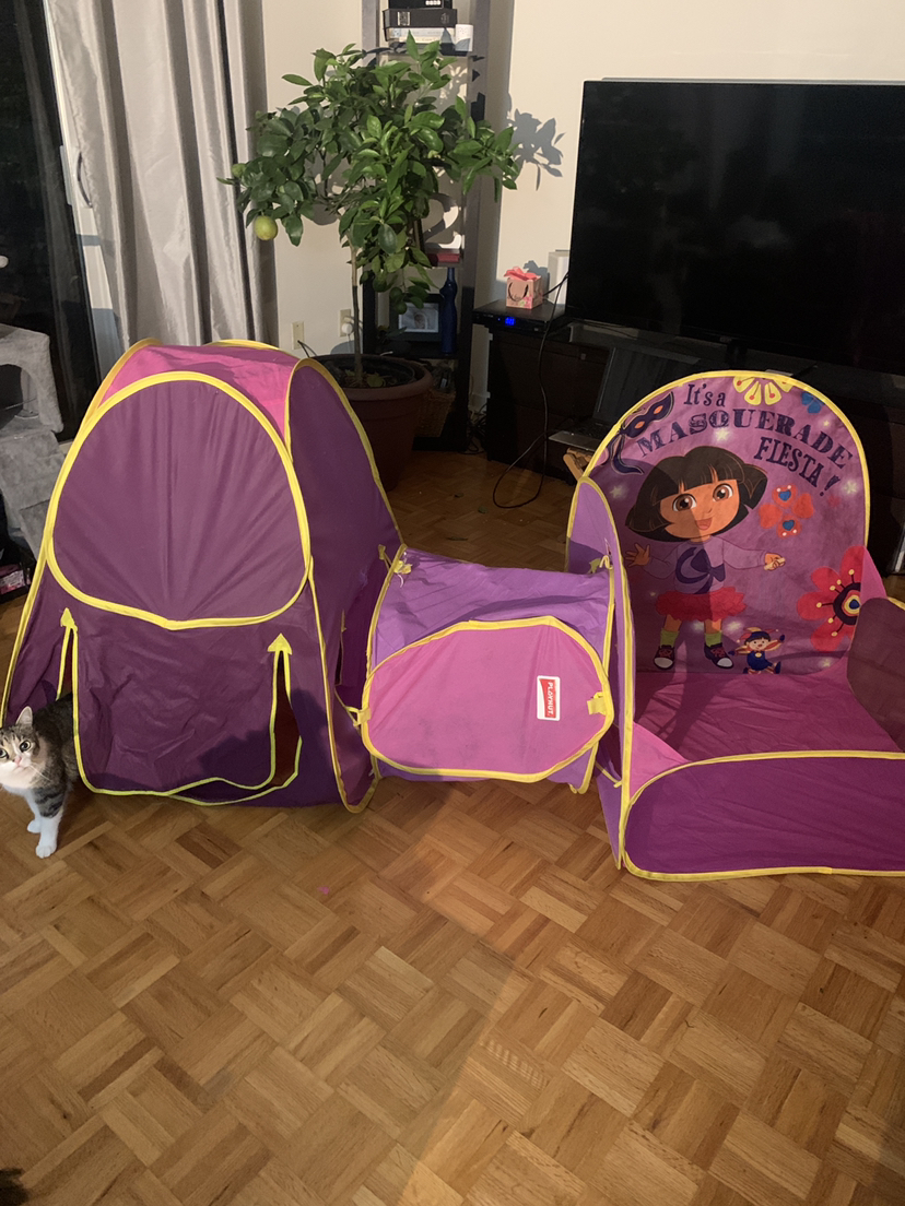 Dora fun house image indicator(3)