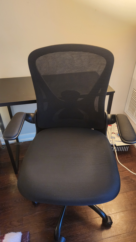 Brand New computer chair