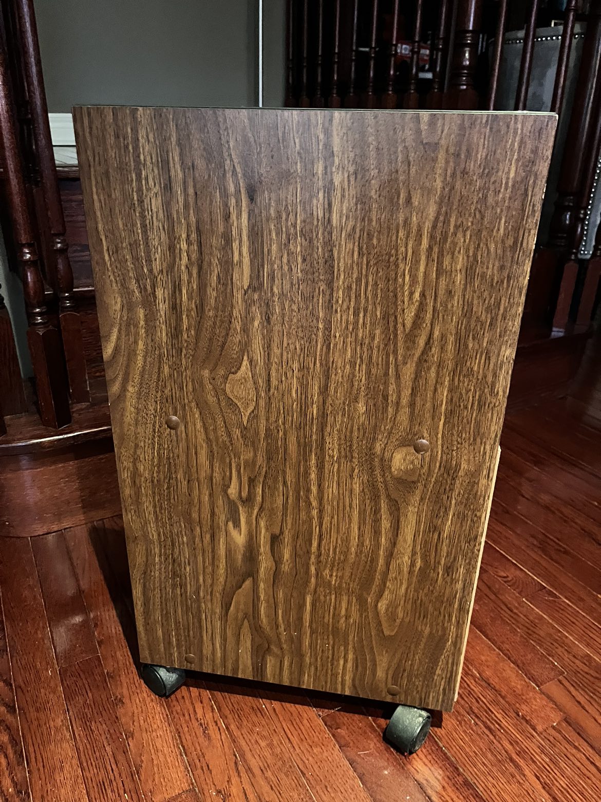 Stereo/Album Cabinet on Wheels ❄️ - photo 3