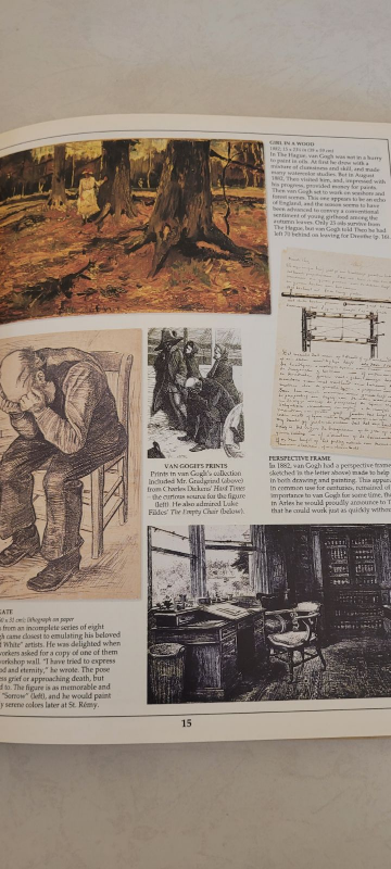 Van Gogh image indicator(4)